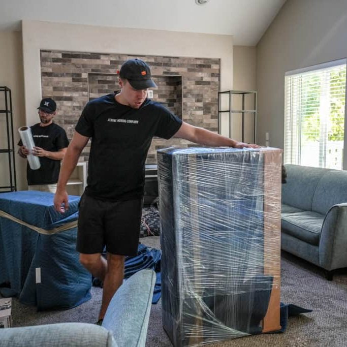 alpine moving packing furniture