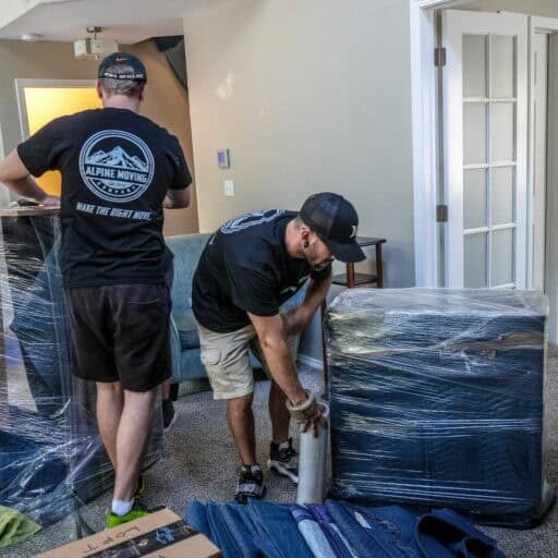 packing professionals